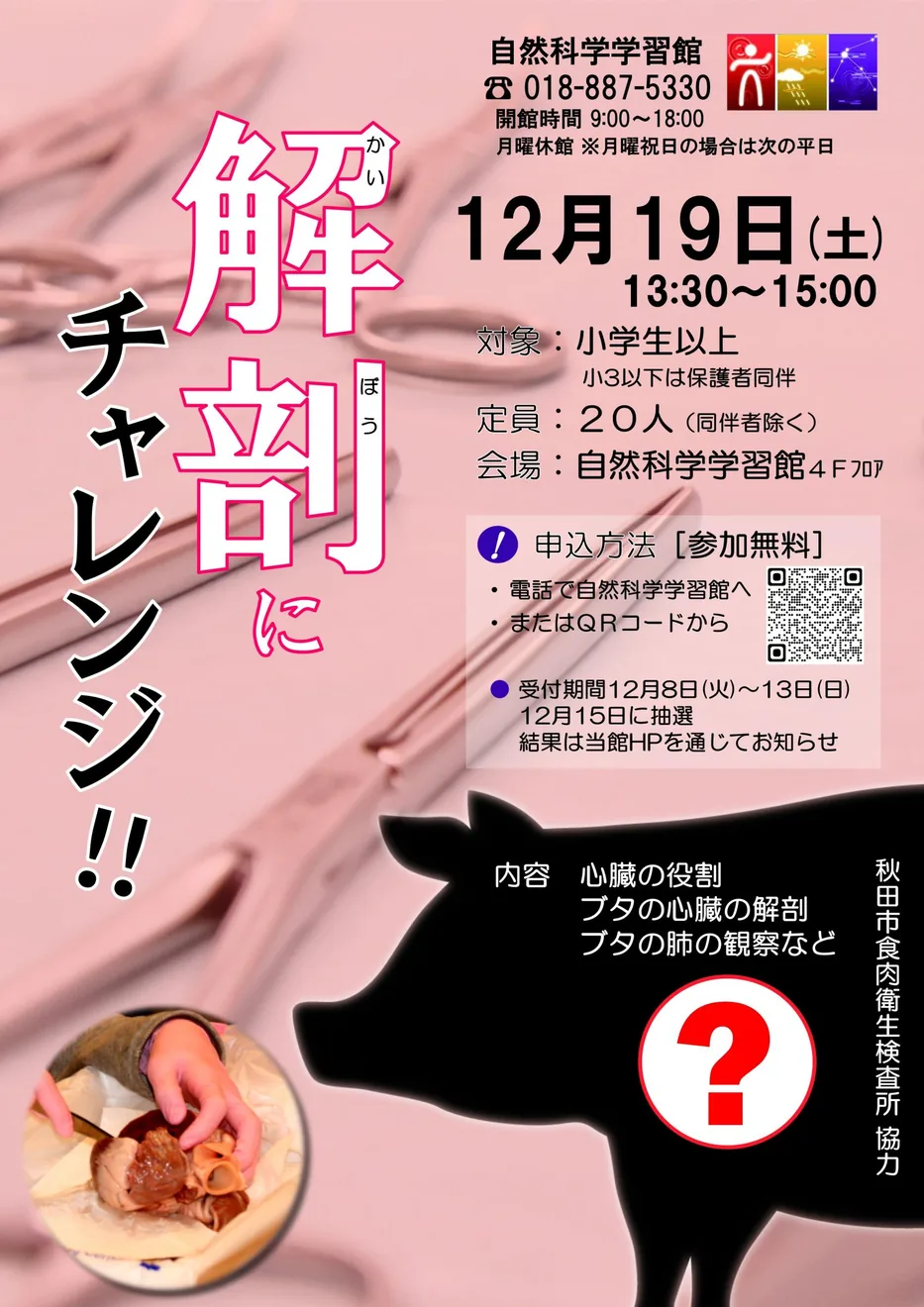 2026年12月19日 解剖にチャレンジ!の募集チラシ