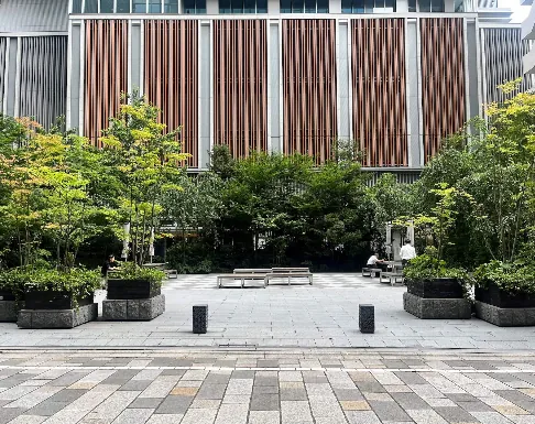 主催がキッズフリマの開催案内に掲載した会場・福徳の森の写真