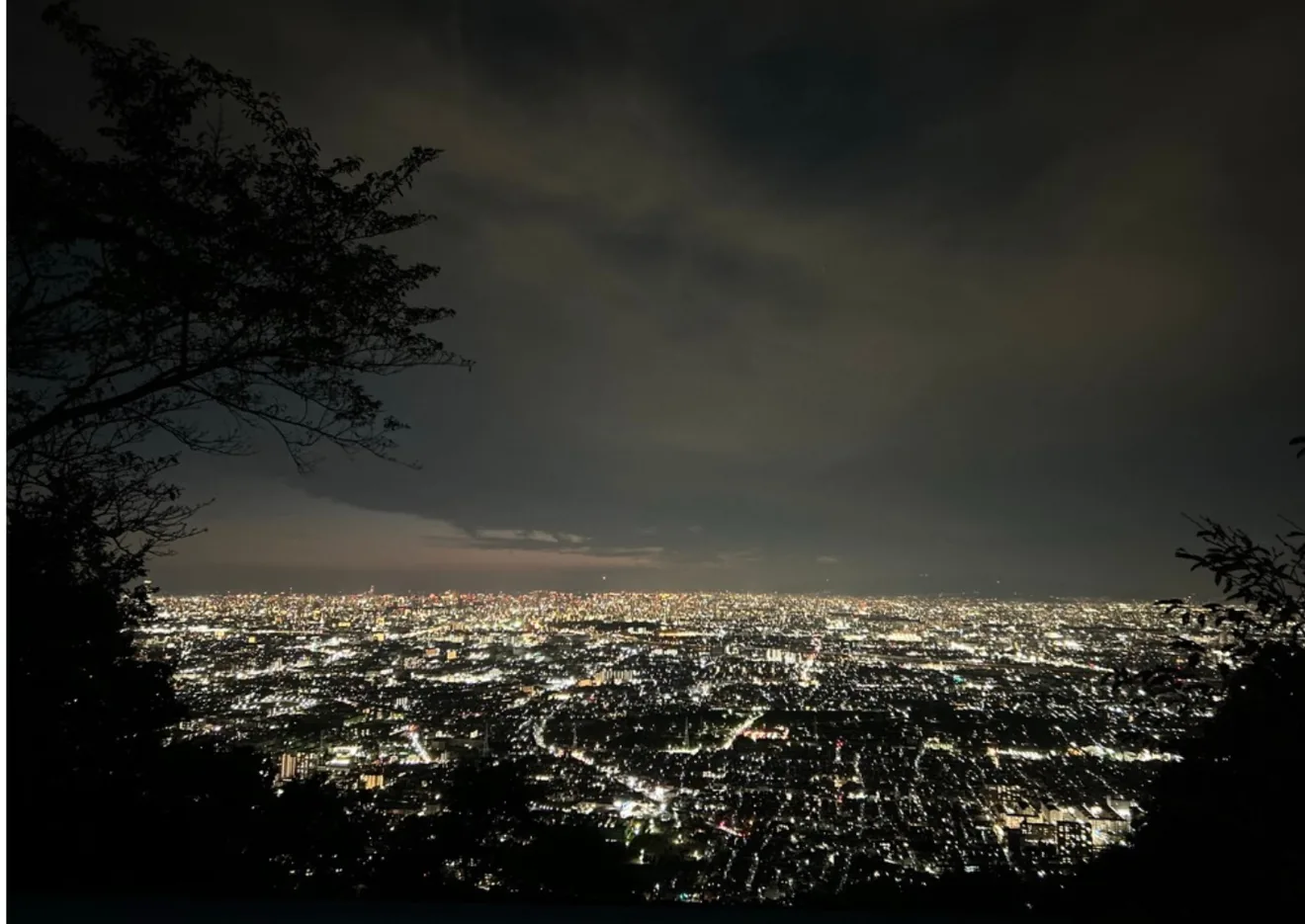 公式開催案内に掲載された、飯盛山山頂から大阪平野を望む夜景写真