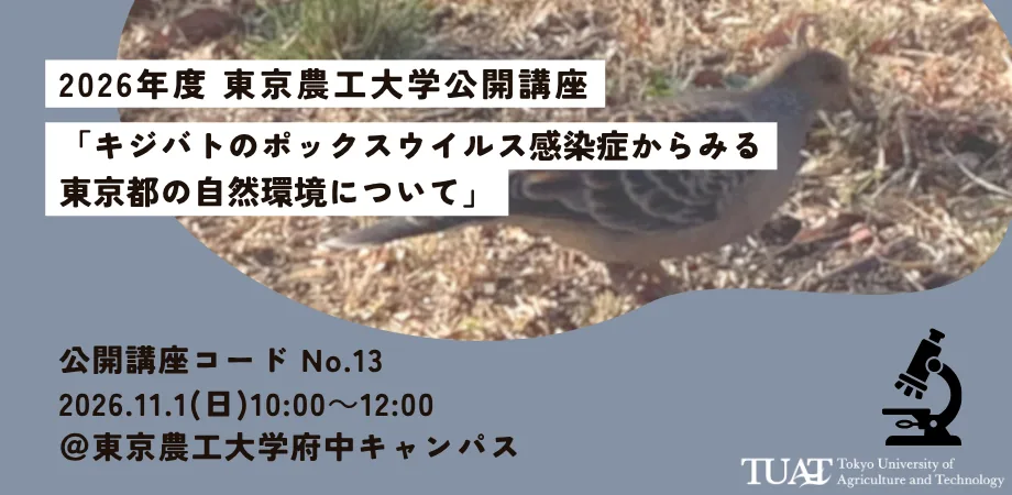 東京農工大学公開講座「キジバトのポックスウイルス感染症からみる東京都の自然環境について」の主催案内