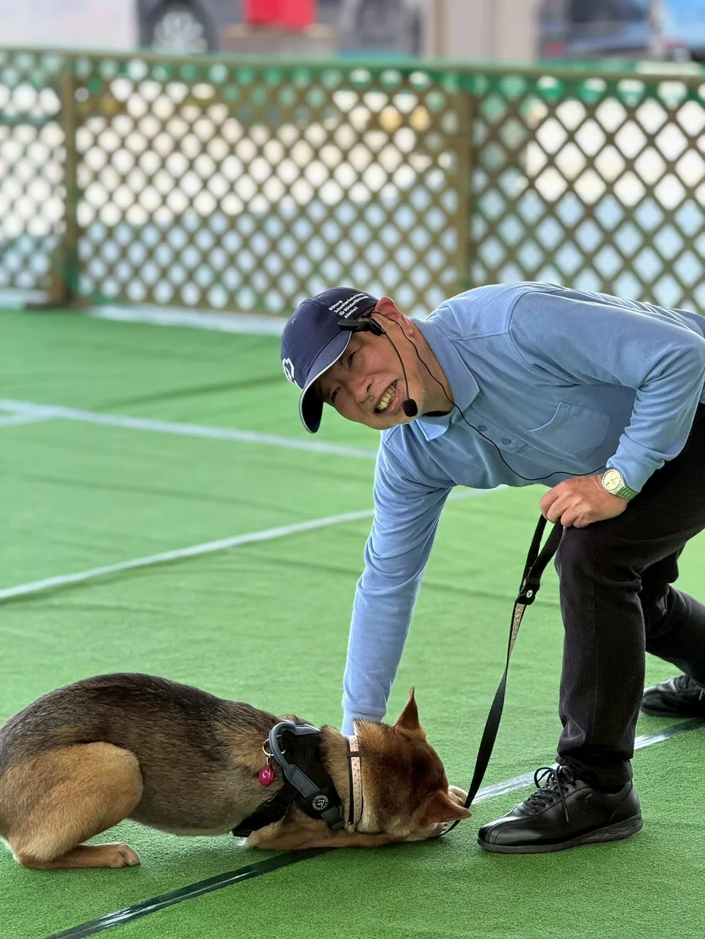 レトリーバーオフ会の案内に掲載された講師・多和田悟さんの写真