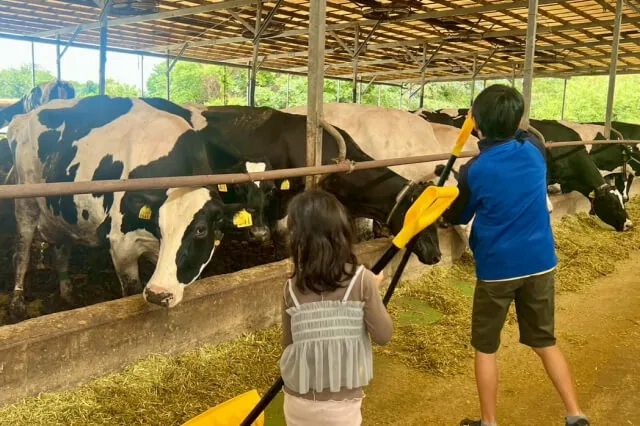 牛舎で餌押しを体験する子どもの主催参考写真