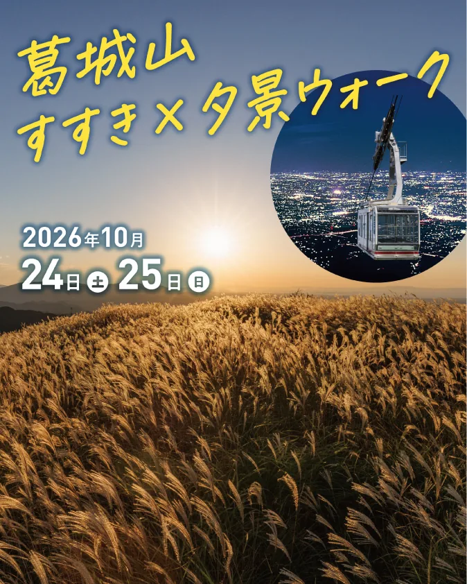 葛城山 すすき × 夕景ウォークの公式紹介画像