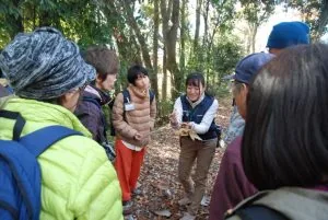 秋の植物観察会の公式案内に掲載された森の紹介写真