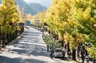 第47回八王子いちょう祭りの公式案内に掲載された写真