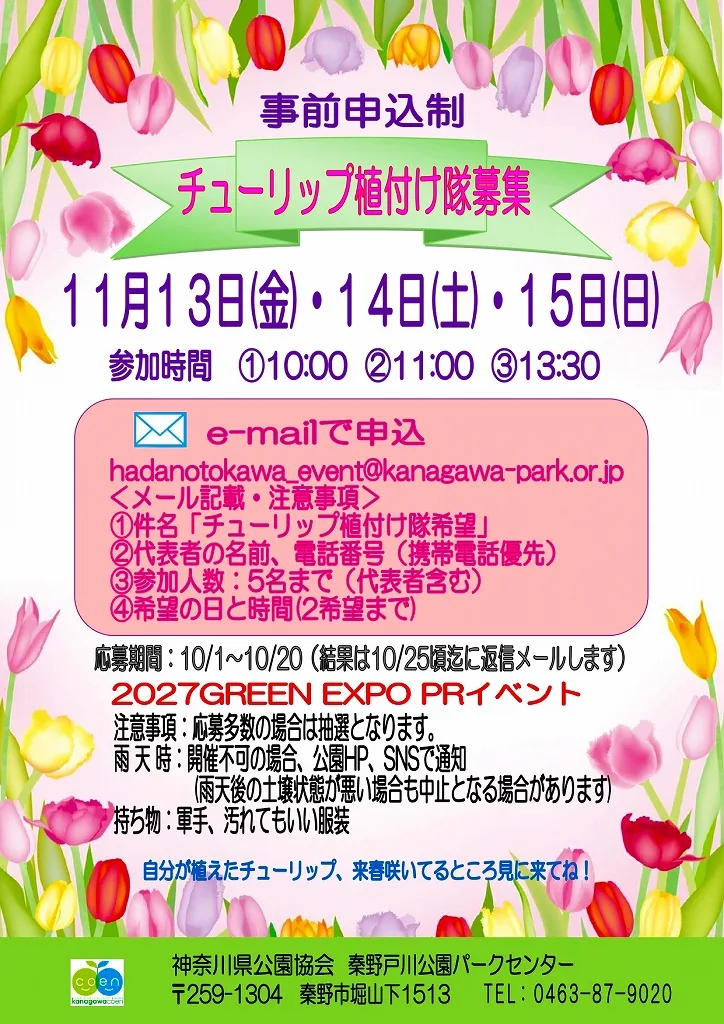 チューリップ植付け隊の今回募集ポスター