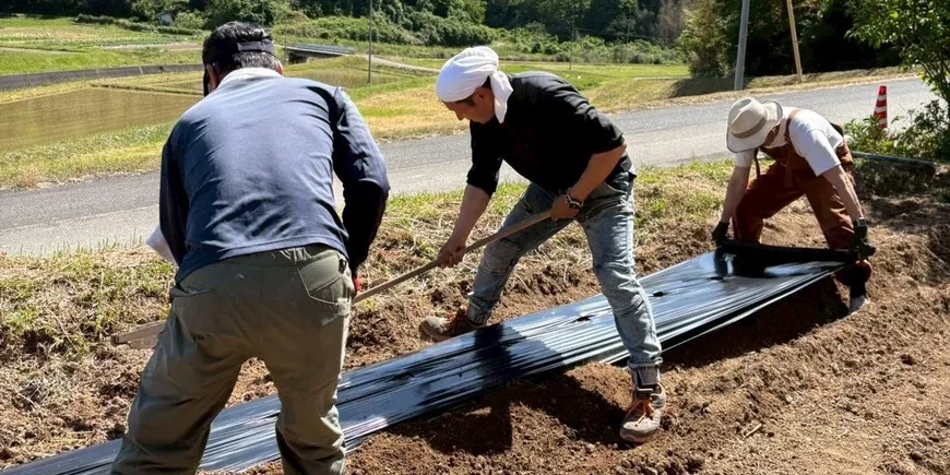 いも代官プロジェクト【農業×歴史】の今回の公式案内に掲載された参考画像