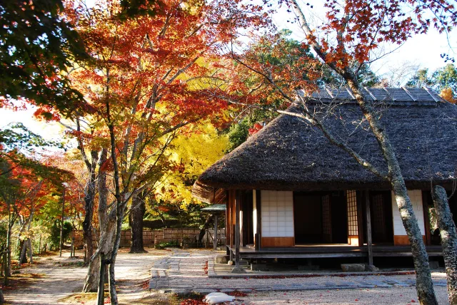 伊藤公資料館 伊藤公もみじまつり 2026を紹介する公式掲載画像