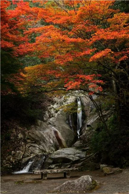 三郎の滝紅葉まつりの公式案内に掲載された写真
