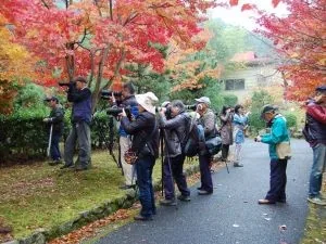 秋の写真教室 ～秋を写そう～の主催掲載紹介画像