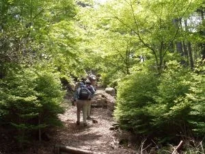 藤ヶ丸山トレッキングの主催掲載紹介画像