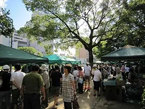 ひろしま朝市の参考写真。富士見町の緑地で販売テントと買い物客が並ぶ様子