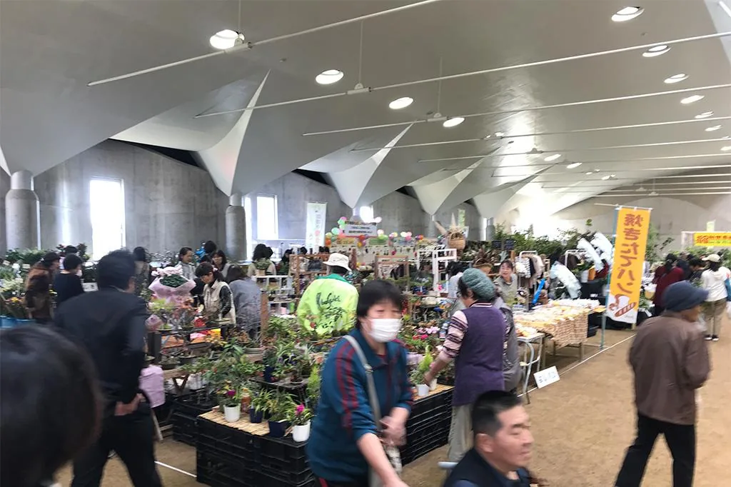 第41回 いぶすき産業まつりの公式紹介画像