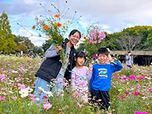 主催者が今回の「コスモス刈り取り体験」の案内に掲載した参考画像