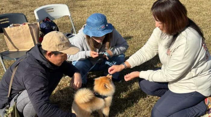 初めての犬のマナー教室の参考写真(公園掲載の過去開催)