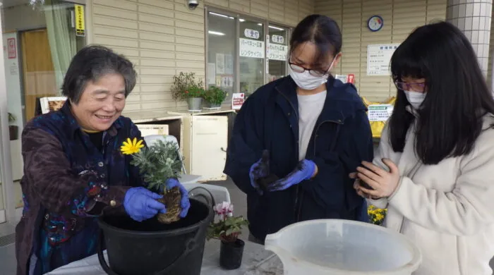 小さなコケ玉作りの参考写真(公園掲載)