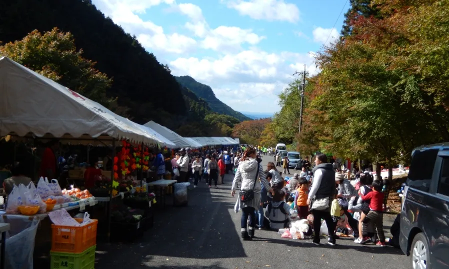 地域の当年案内に掲載されている、白藤滝周辺の紅葉の参考写真