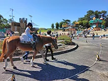 主催者が今回の「ポニー乗馬体験」の案内に掲載した参考画像