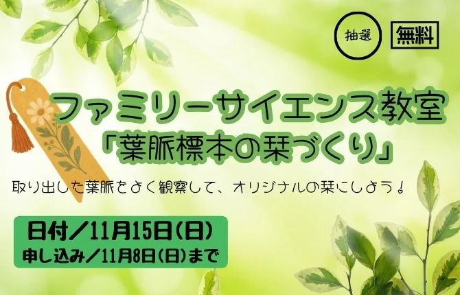 ファミリーサイエンス教室「葉脈標本の栞づくり」の公式開催案内画像