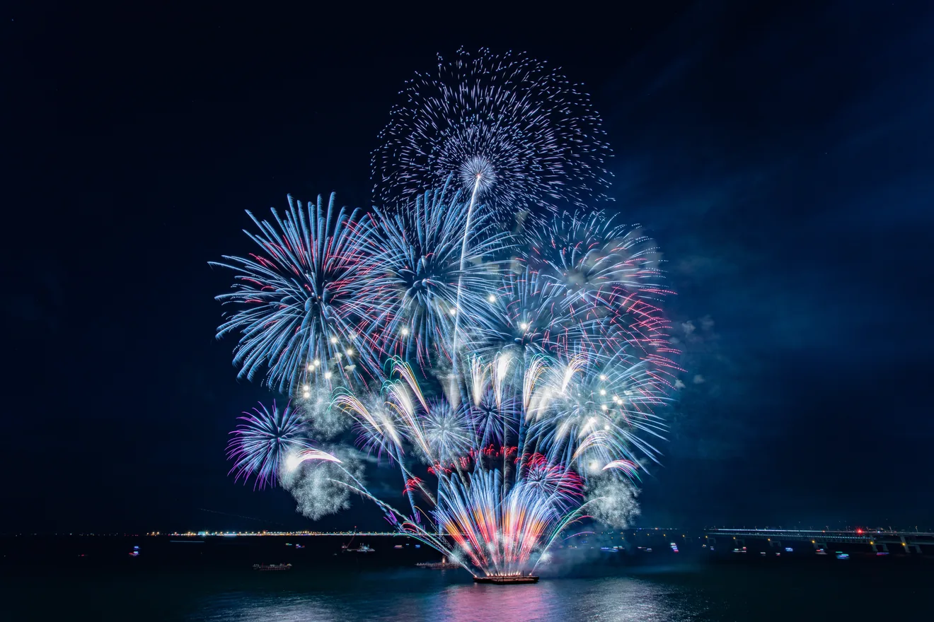 大阪芸術花火2026・世界一たのしいゴミ拾いの開催案内