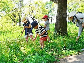 ちびっこさんぽ~秋の草花で遊ぼう~の公式案内に掲載された参考写真