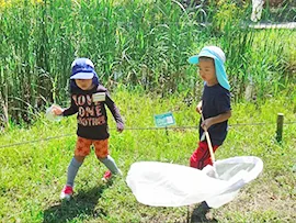 むしムシ、むしっこの公式案内に掲載された参考写真