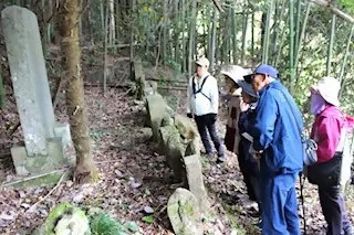 温故知新　阿波・伊予への街道を行くの公式紹介画像