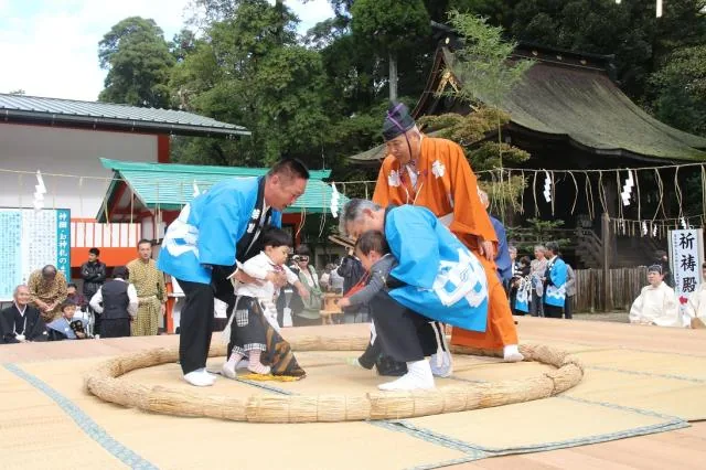 相撲祭の公式案内に掲載された写真