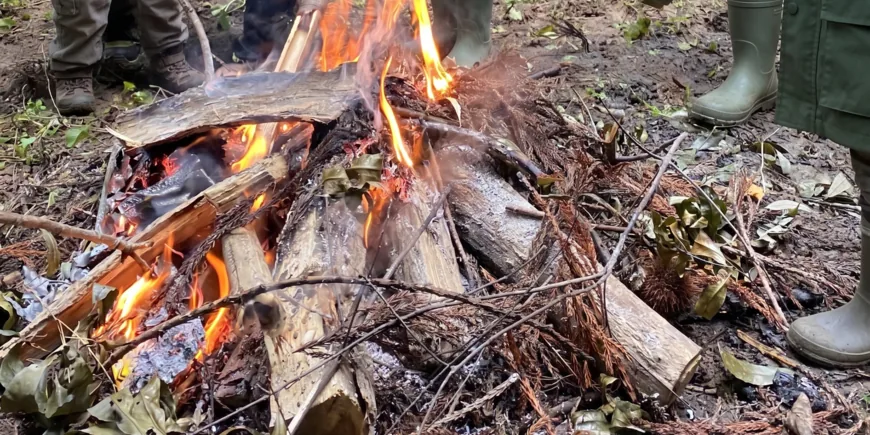 おとなの遠足　里山編の公式案内に使われている参考画像
