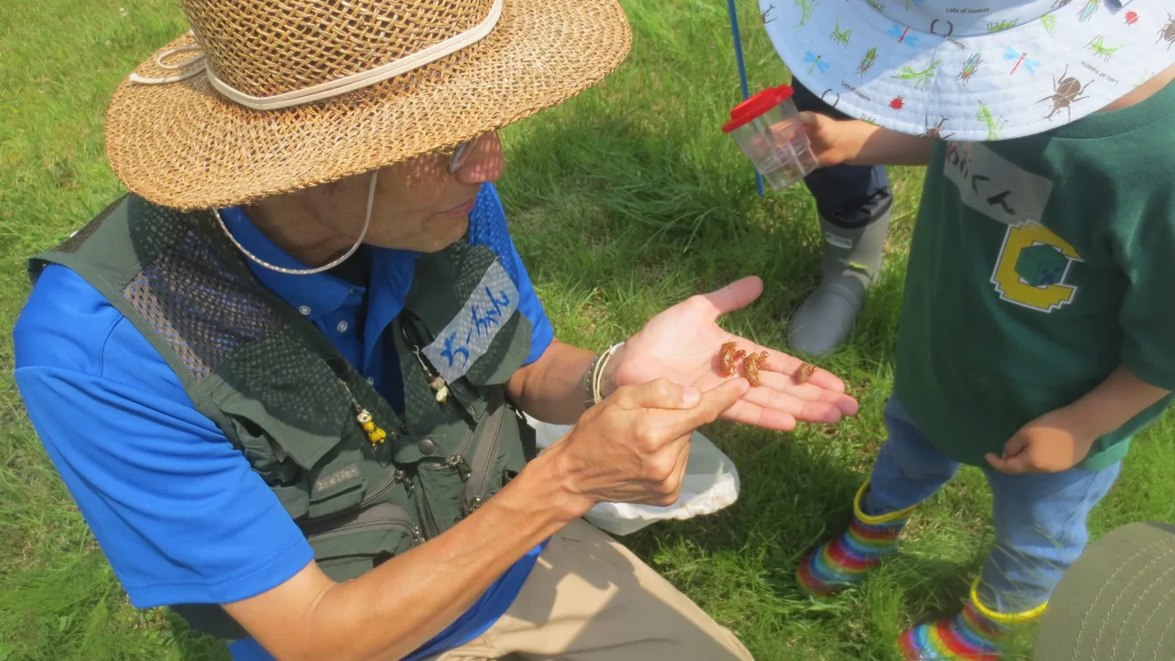 親子で小さなしぜんかんさつの公式案内に掲載された画像