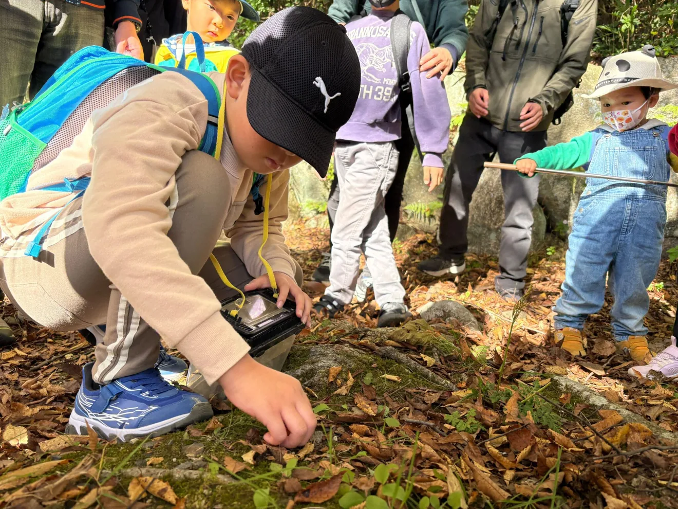 三重県民の森公式が11月の自然観察会の紹介に掲載する写真