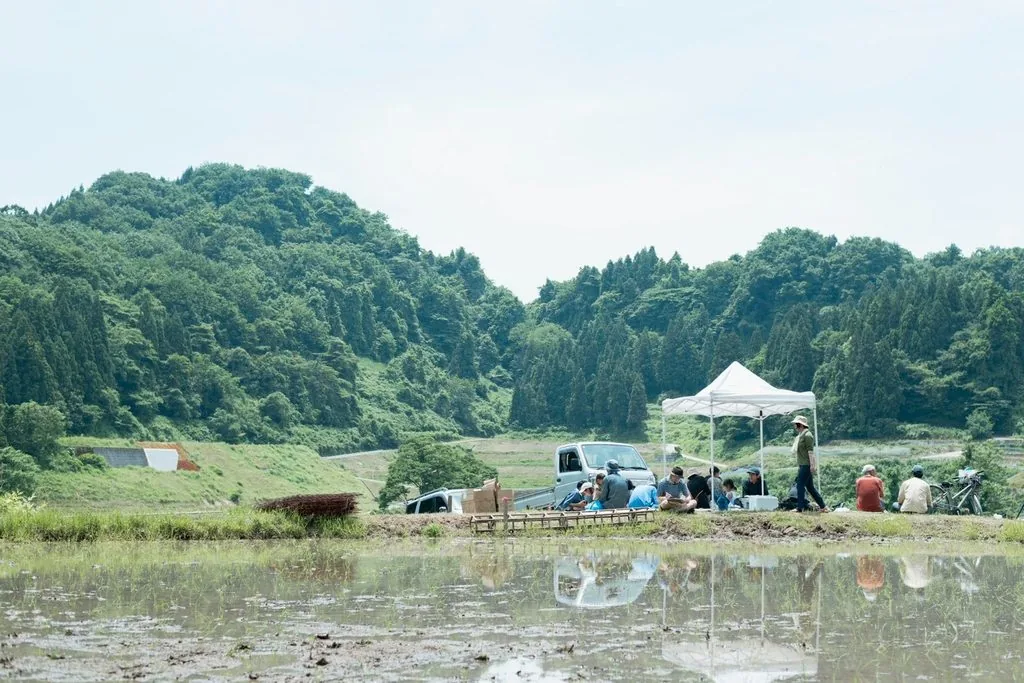 今回のアートショップ案内に掲載された田んぼでの活動写真