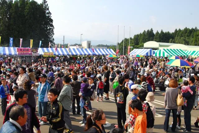 おおひらふるさと祭りの公式案内に掲載された写真