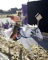 主催の流鏑馬紹介に使われている、騎射の参考写真(今年の実施写真ではない)