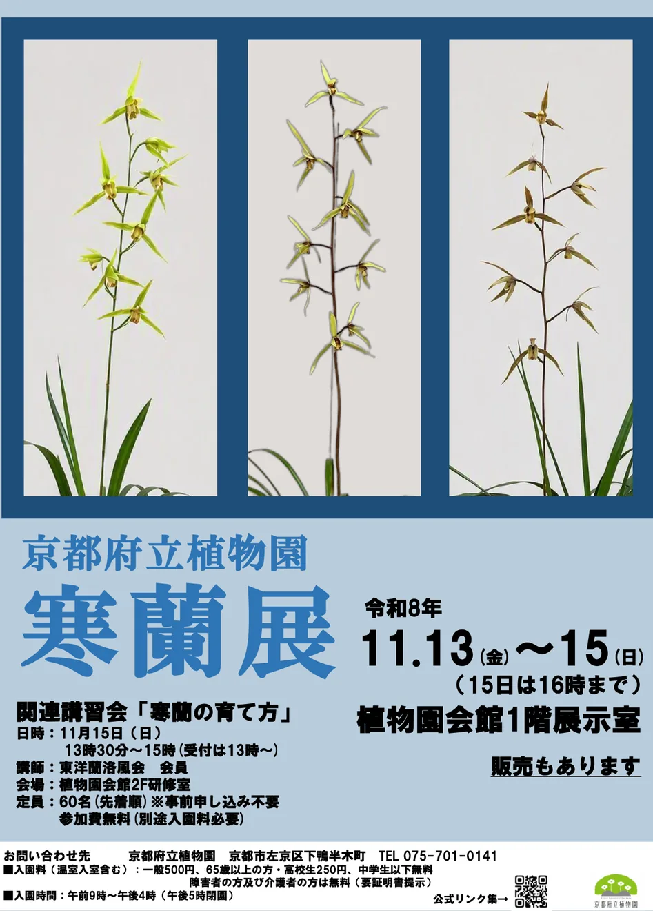 京都府立植物園の寒蘭展を案内する令和8年11月13日〜15日のポスター