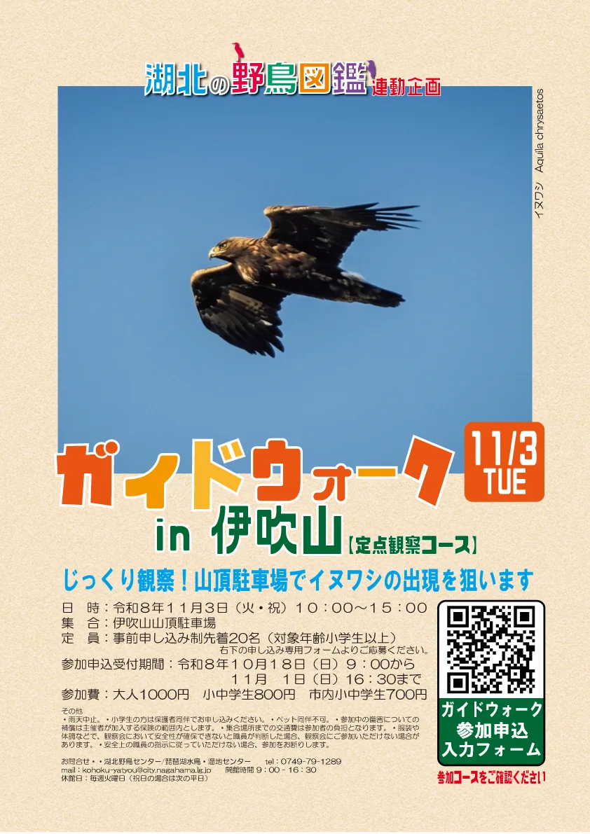 令和8年11月3日ガイドウォークin伊吹山・定点観察コースの公式チラシ