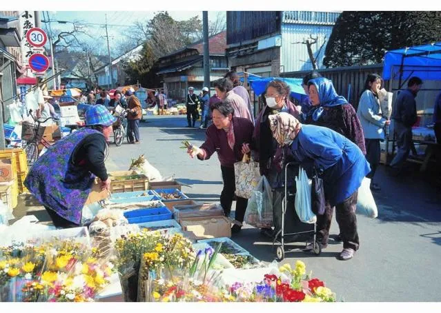 朝市ほくほく秋まつりの公式案内に掲載された写真
