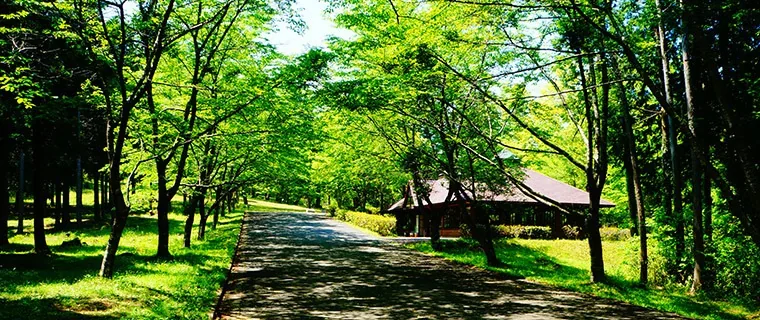 里山フェスin秋吉台 の公式案内に掲載された参考写真