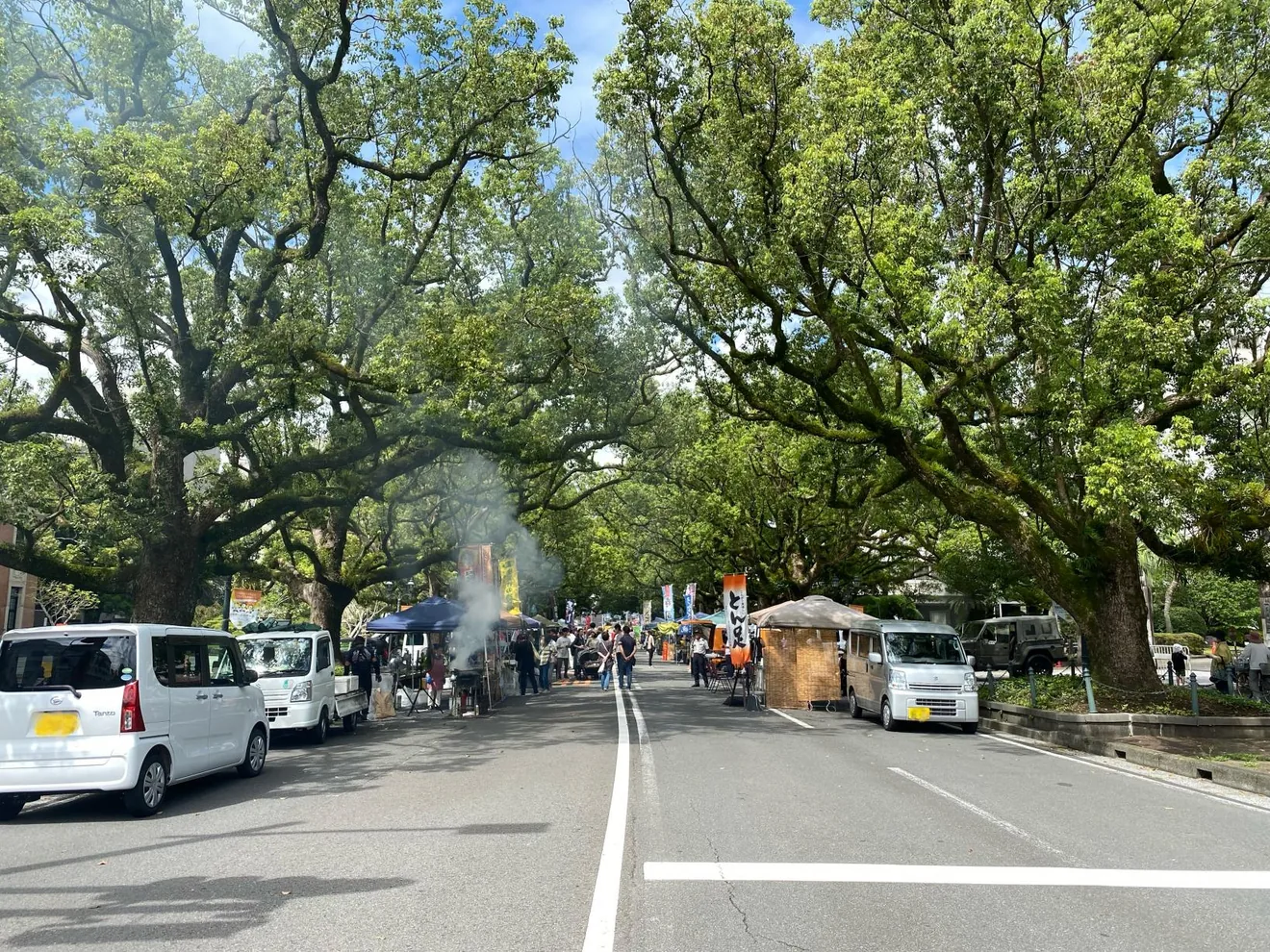 いっちゃが宮崎 楠並木朝市の県観光公式掲載写真