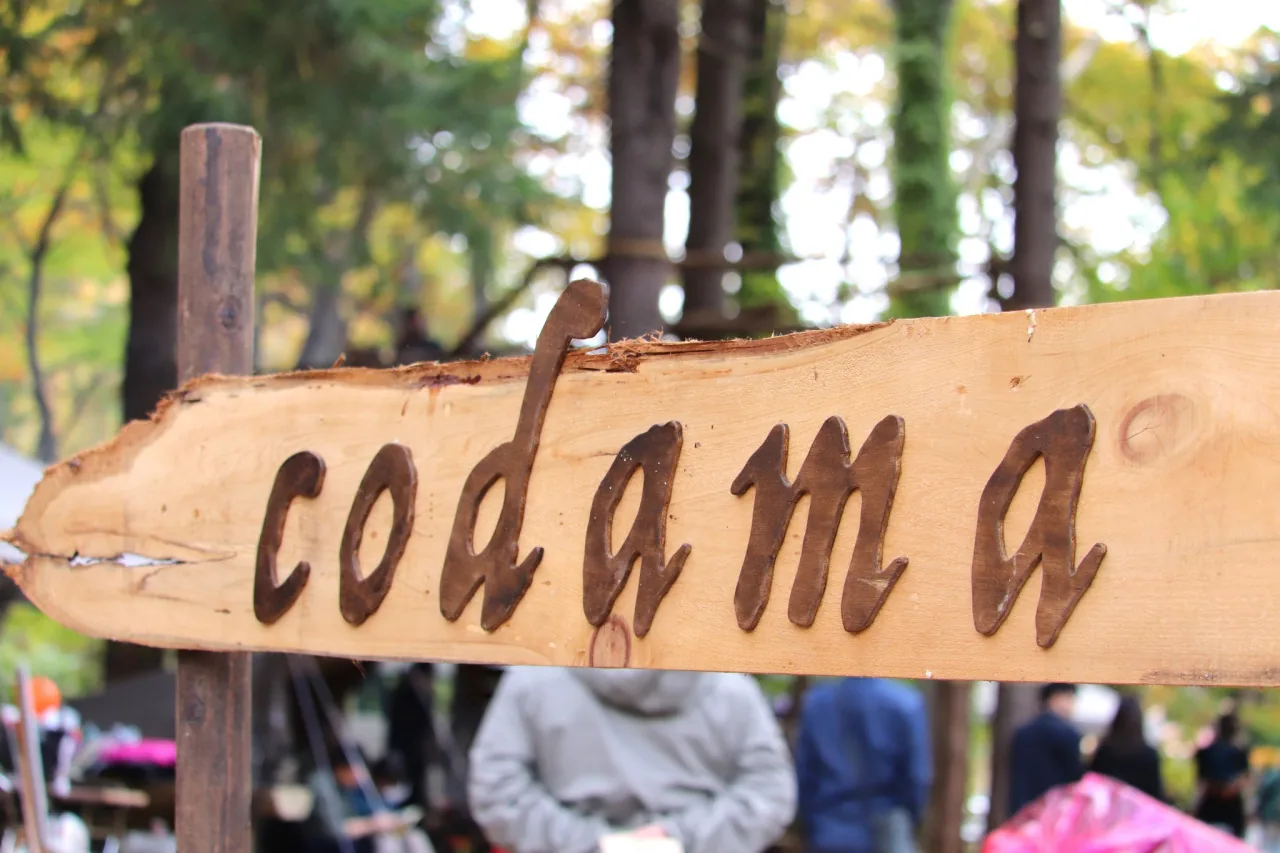 codama紅葉まつりの公式案内に掲載された画像
