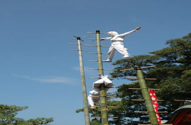 竹ン芸の公式案内に掲載された写真