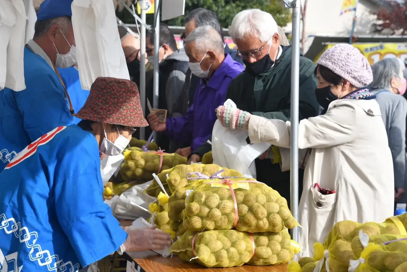 福野のごっつぉ里いもまつりの公式案内に掲載された画像