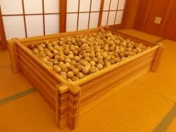 にしかんMOKUフェスの案内に掲載された西蒲杉の木玉プール