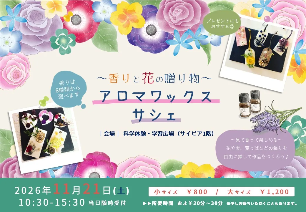 2026年11月21日アロマワックスサシェのチラシ全体
