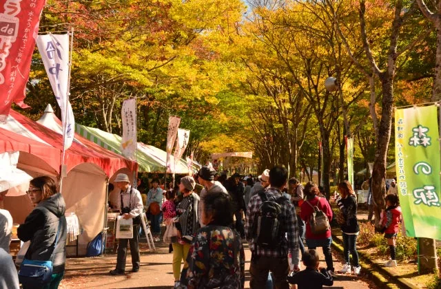 九頭竜紅葉まつりの公式案内に掲載された写真
