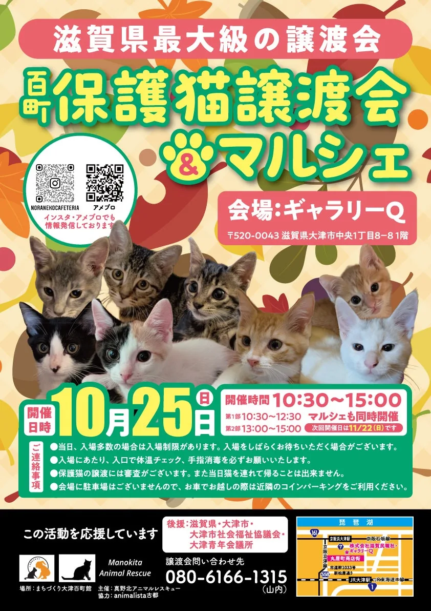 百町保護猫譲渡会＆マルシェの公式告知ポスター