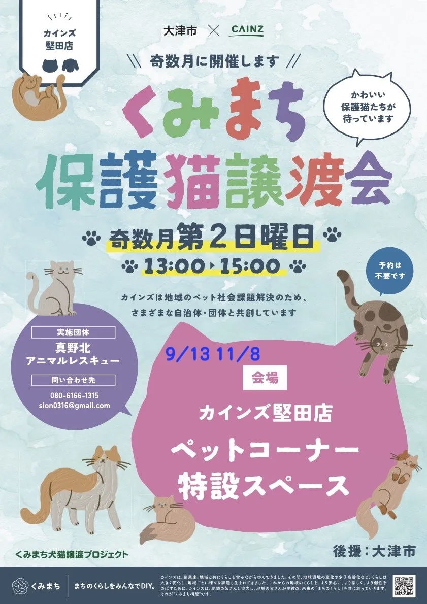 11月8日の開催日・会場・時間を掲載した、くみまち保護猫譲渡会堅田の案内