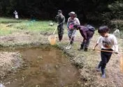 ホタルの田んぼのお米づくり体験を紹介する写真