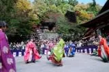 秋のけまり祭の公式案内に掲載された写真