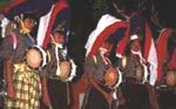 四万十町の郷土芸能紹介に掲載されている五ツ鹿踊りの参考写真。2026年当日の撮影ではありません